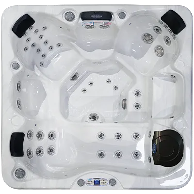 Avalon EC-849L hot tubs for sale in Gardendale
